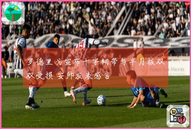 罗德里戈宣布十字韧带与半月板双双受损 安帅发表感言